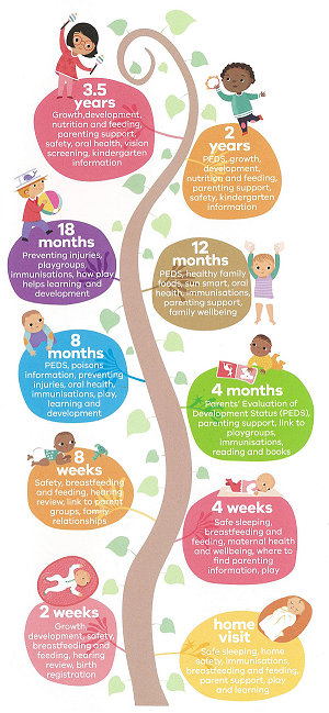 Image: 10 Key Stages of Children's Development Tree 
Link to child page: Maternal and Child Health